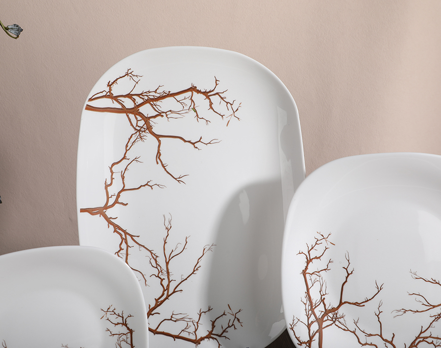 Square Glass Plate and Bowl with Customized Design