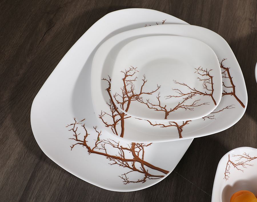 Square Glass Plate and Bowl with Customized Design