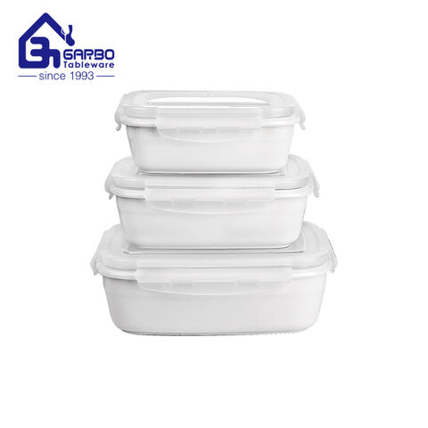 10.8inch Clear white porcelain plate flat for kitchen for wholesale