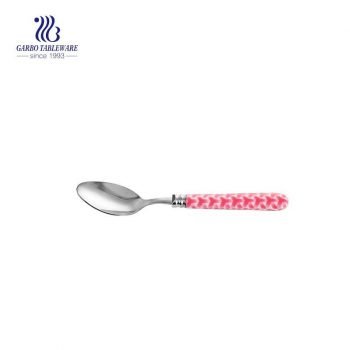 Stainless steel spoon recyclable ice cream spoon with plastic handle