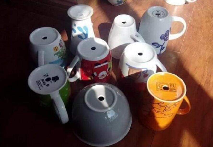 Don’t throw away unused cups, it can be turned into a flowerpot