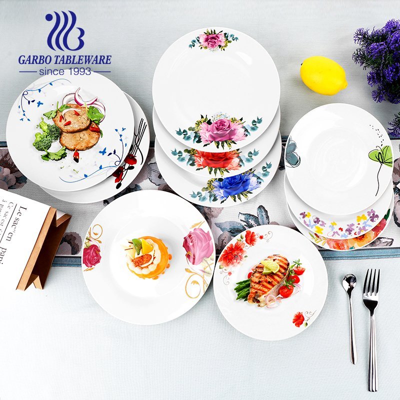 China supplier round plain white hotel restaurant porcelain spaghetti pasta plate OEM design 9inch ceramic dinner dish plate