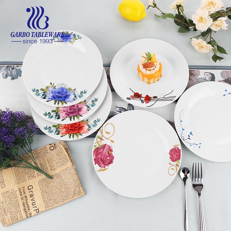 China supplier round plain white hotel restaurant porcelain spaghetti pasta plate OEM design 9inch ceramic dinner dish plate