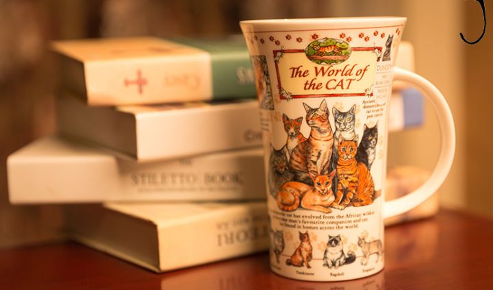 La taza de cerámica de la taza de consumición de la porcelana del regalo promocional con varios diseños impresos para todos los mercados
