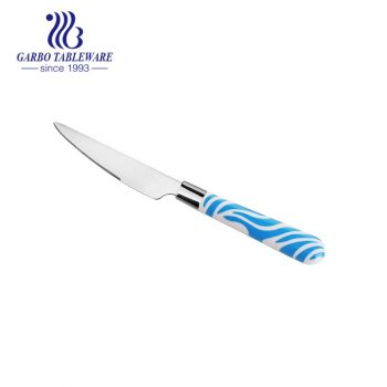 سكين عشاء من الفولاذ المقاوم للصدأ بتصميم Hotsale لجنوب شرق آسيا حديث مع مقبض PP اللون