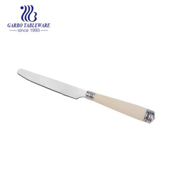 سكين عشاء بتصميم موردن من الفولاذ المقاوم للصدأ بمقبض PP