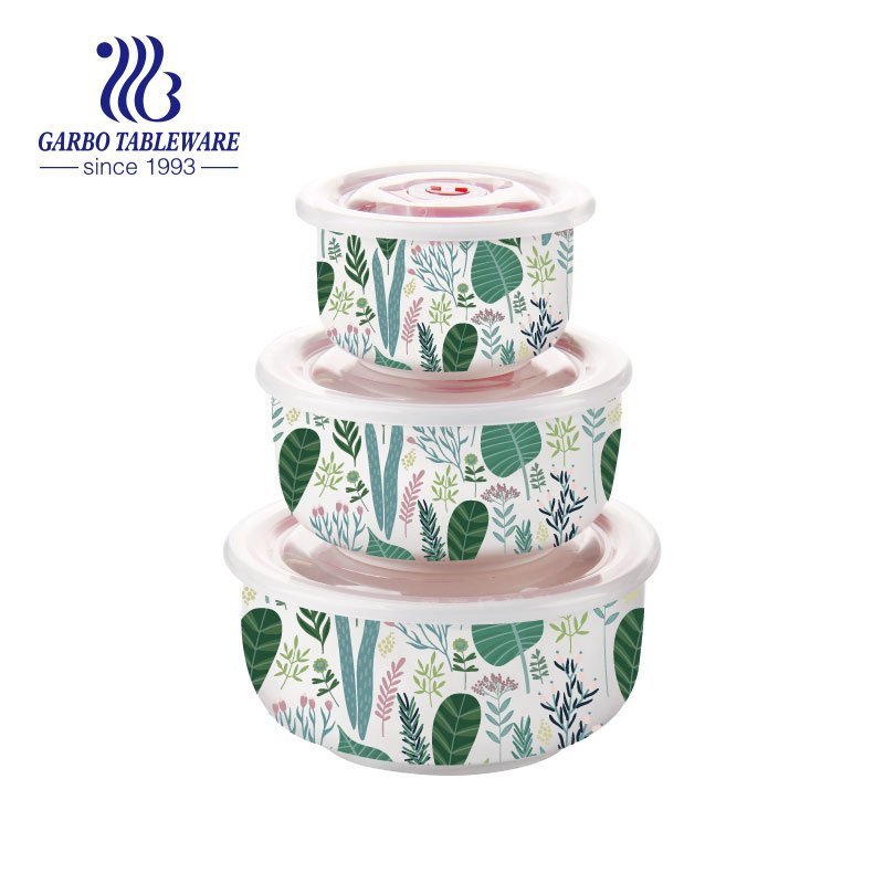 Conjunto de recipiente de comida de porcelana de cor de impressão completa tigelas de cerâmica portáteis caçarola com tampa de plástico 3 peças conjuntos de lancheira