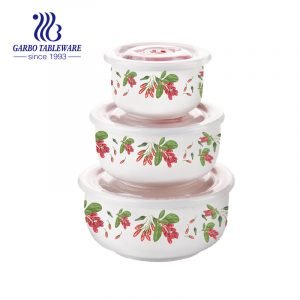 Hotsale 3pcs ceramic bowl set with plastic lids with customized decal