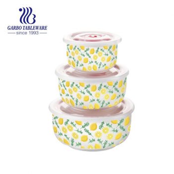 nice Lemon design 3pcs porcelain food container set food bowl set with plastic lid