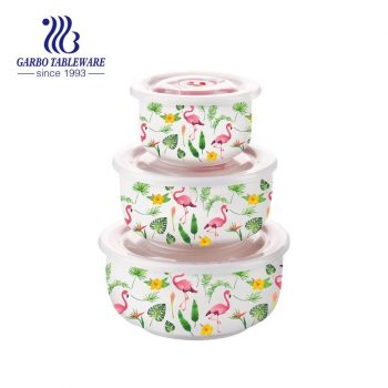 Conjunto de tigela de cerâmica de 3 peças com design de flamingo para uso de recipiente de alimentos
