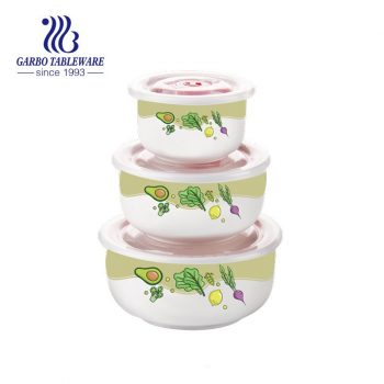Full print color porcelain food container set portable ceramic bowls casserole with plastic lid 3pcs lunch box sets