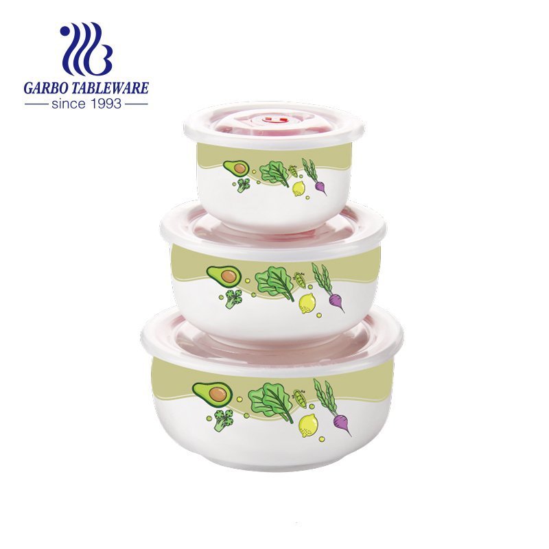 porcelain food container set 